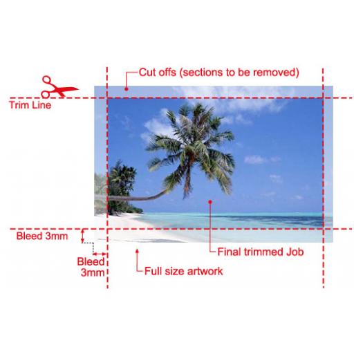 Print Bleed Explained Print & Marketing Blog
