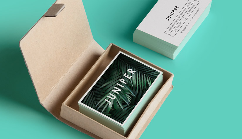 business-cards-in-a-box